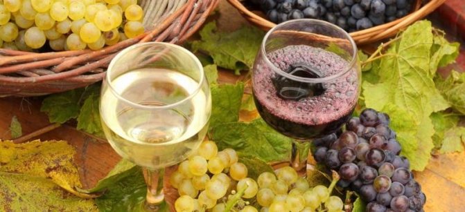Рецепт напитка на столовом винограде