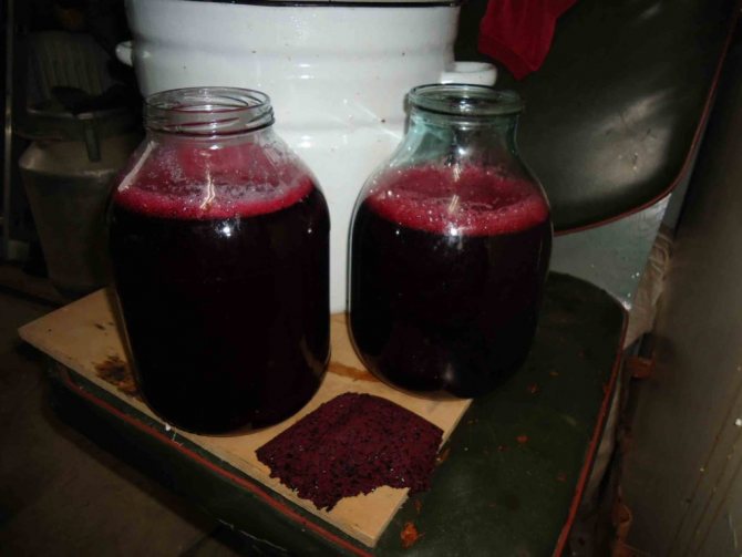 Вино из красного винограда в домашних условиях простой рецепт фото